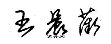 朱錫榮王晨薇草書個性簽名怎么寫