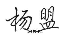 駱恆光楊盟行書個性簽名怎么寫