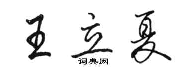 駱恆光王立夏行書個性簽名怎么寫