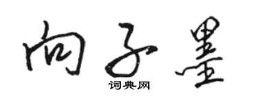 駱恆光向子墨行書個性簽名怎么寫
