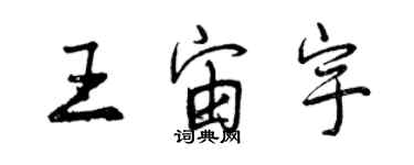 曾慶福王宙宇行書個性簽名怎么寫