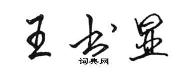 駱恆光王書顯行書個性簽名怎么寫