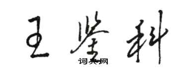 駱恆光王鑑科草書個性簽名怎么寫