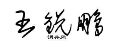 朱錫榮王銳鵬草書個性簽名怎么寫