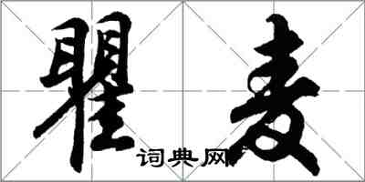 胡問遂瞿麥行書怎么寫