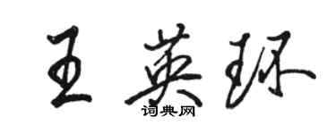 駱恆光王英環行書個性簽名怎么寫