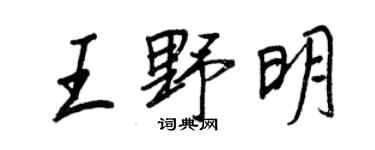 王正良王野明行書個性簽名怎么寫