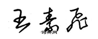 朱錫榮王素飛草書個性簽名怎么寫