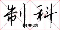 制科怎么寫好看