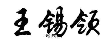 胡問遂王錫領行書個性簽名怎么寫