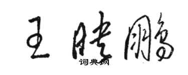 駱恆光王映鵬草書個性簽名怎么寫