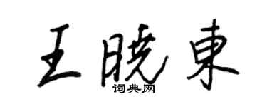 王正良王曉東行書個性簽名怎么寫