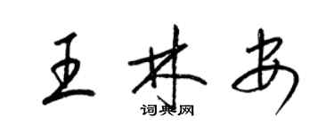 梁錦英王林安草書個性簽名怎么寫