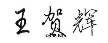 駱恆光王賀輝行書個性簽名怎么寫