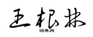 曾慶福王根林草書個性簽名怎么寫
