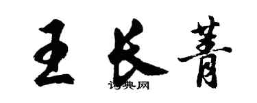 胡問遂王長菁行書個性簽名怎么寫