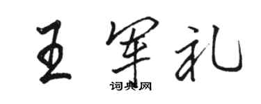 駱恆光王軍禮行書個性簽名怎么寫