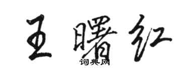 駱恆光王曙紅行書個性簽名怎么寫
