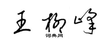 梁錦英王柳峰草書個性簽名怎么寫