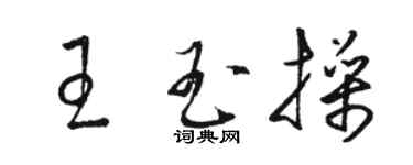 駱恆光王玉操草書個性簽名怎么寫