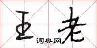 段相林王老行書怎么寫