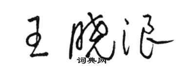 駱恆光王曉浪草書個性簽名怎么寫