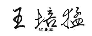 駱恆光王培猛行書個性簽名怎么寫