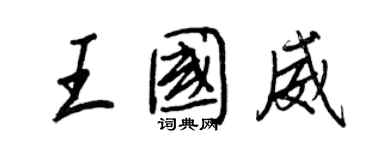 王正良王國威行書個性簽名怎么寫