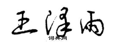 曾慶福王澤雨草書個性簽名怎么寫