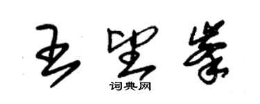 朱錫榮王望峰草書個性簽名怎么寫