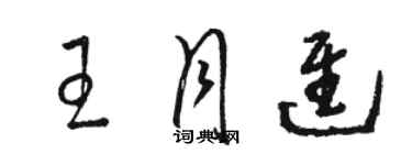 駱恆光王月進草書個性簽名怎么寫