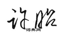 駱恆光許昭草書個性簽名怎么寫