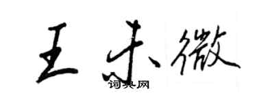 王正良王未微行書個性簽名怎么寫