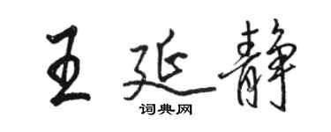 駱恆光王延靜行書個性簽名怎么寫
