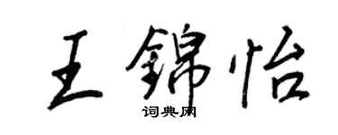 王正良王錦怡行書個性簽名怎么寫