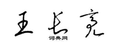 梁錦英王長亮草書個性簽名怎么寫