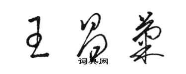 駱恆光王昌菊草書個性簽名怎么寫