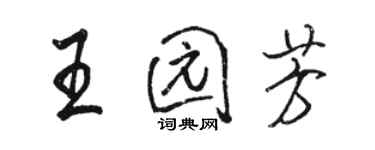 駱恆光王園芳行書個性簽名怎么寫