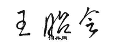 駱恆光王昭會草書個性簽名怎么寫