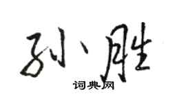 駱恆光孫勝行書個性簽名怎么寫