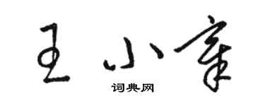 駱恆光王小章草書個性簽名怎么寫