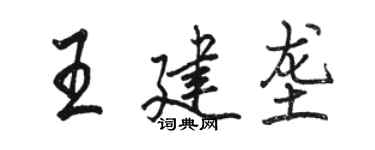 駱恆光王建壟行書個性簽名怎么寫