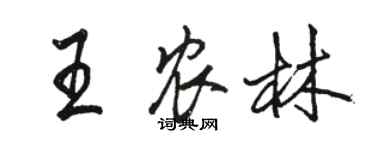 駱恆光王農林行書個性簽名怎么寫