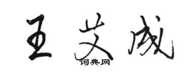 駱恆光王艾成行書個性簽名怎么寫