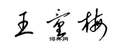 梁錦英王童梅草書個性簽名怎么寫