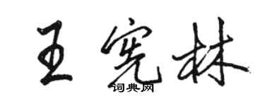 駱恆光王憲林行書個性簽名怎么寫