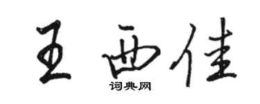 駱恆光王西佳行書個性簽名怎么寫