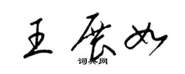 梁錦英王展如草書個性簽名怎么寫