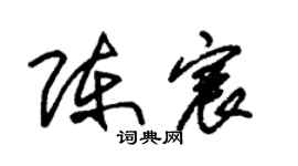 朱錫榮陳宸草書個性簽名怎么寫