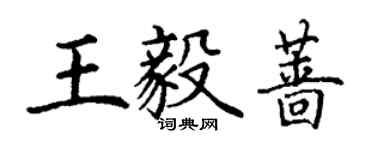 丁謙王毅薔楷書個性簽名怎么寫